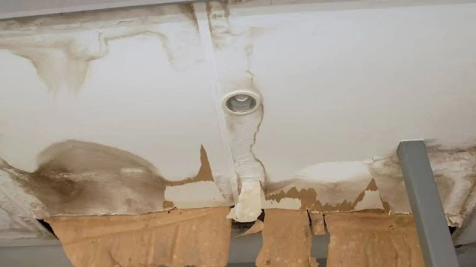 Water-stained ceiling with peeling paint and mold around a light fixture